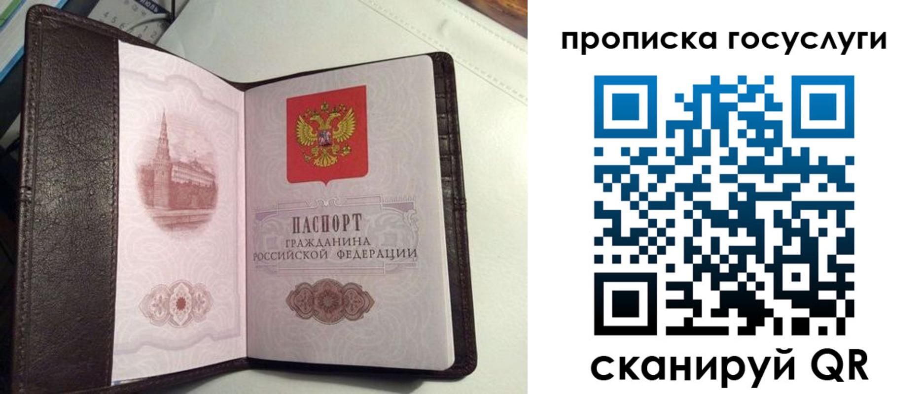 временная прописка в Коряжме
